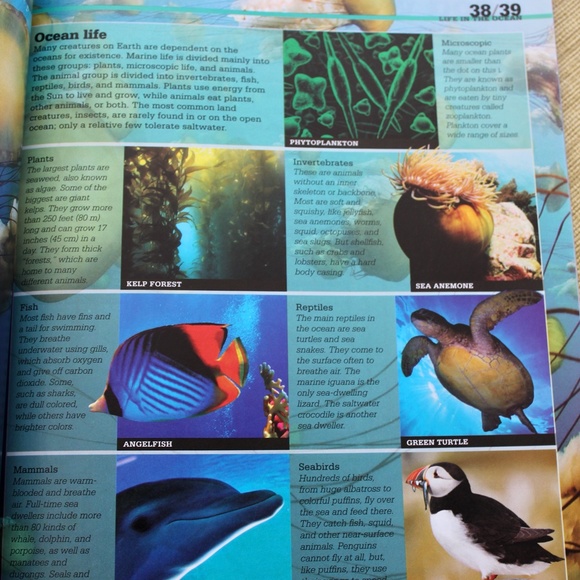 2 ~ Children's Books ~ National Geographic & Scholastic ~ 2 Great Books - Picture 10 of 10